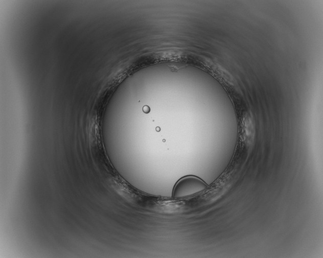 X0000116620522200912181307