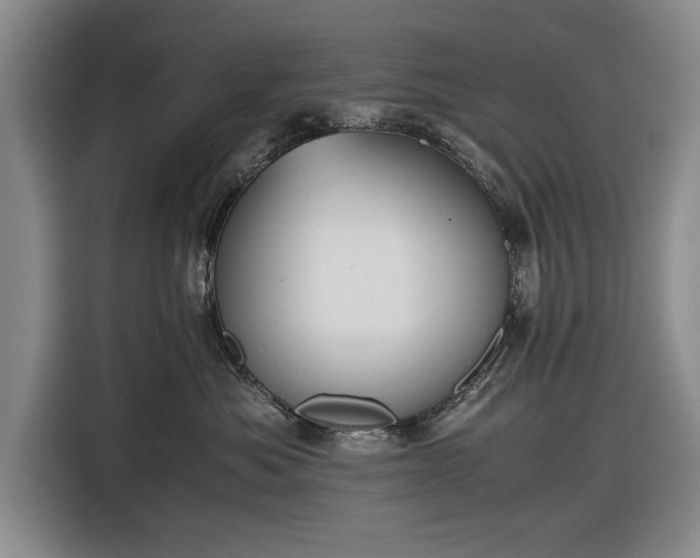 X0000116620525200912181307