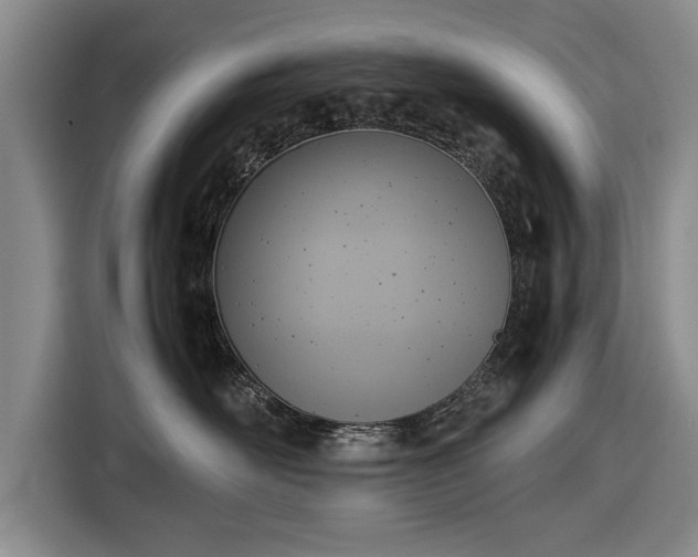 X0000116620526200912181307