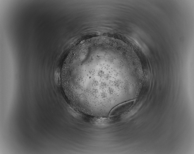 X0000116620527200912181307