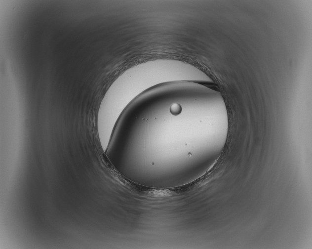 X0000116620528200912181307