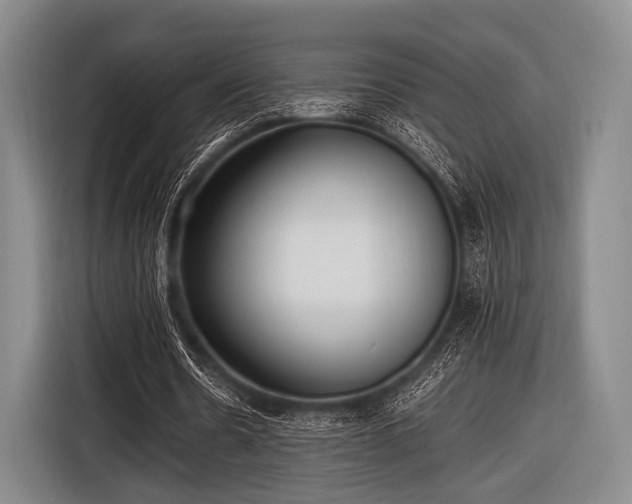 X0000116620530200912181307