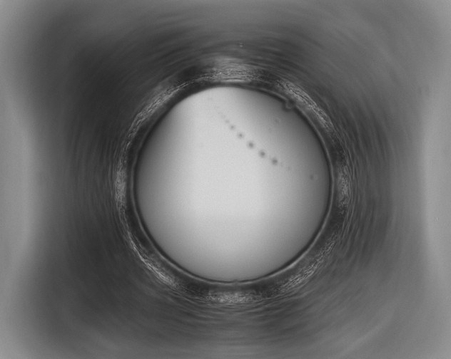 X0000116620533200912181307