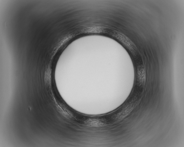 X0000116620534200912181307