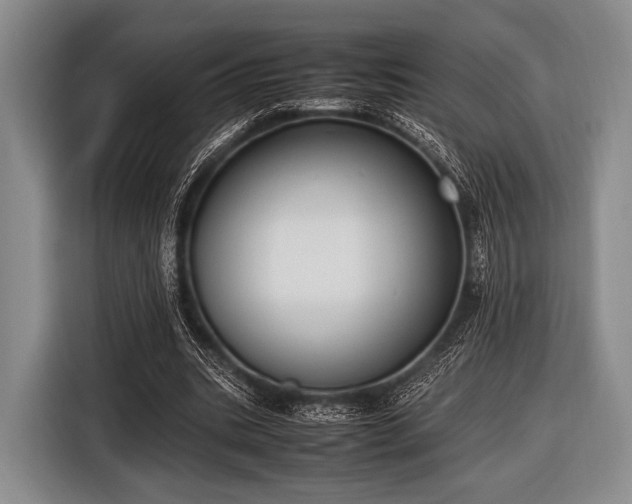 X0000116620535200912181307