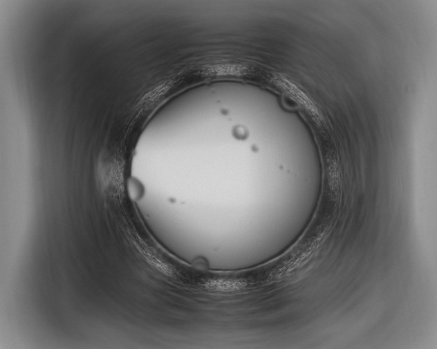 X0000116620537200912181307