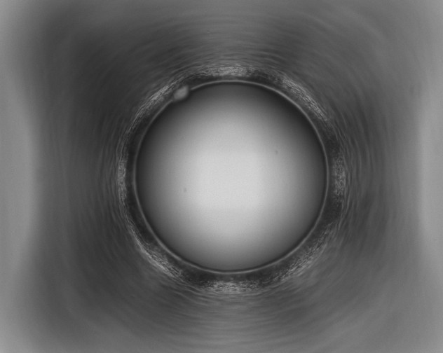 X0000116620538200912181307