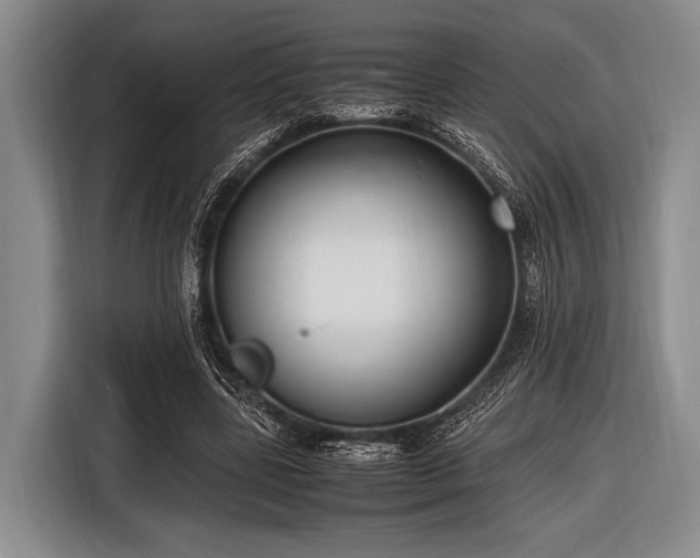 X0000116620539200912181307