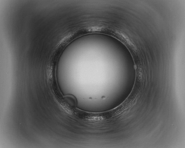 X0000116620543200912181307