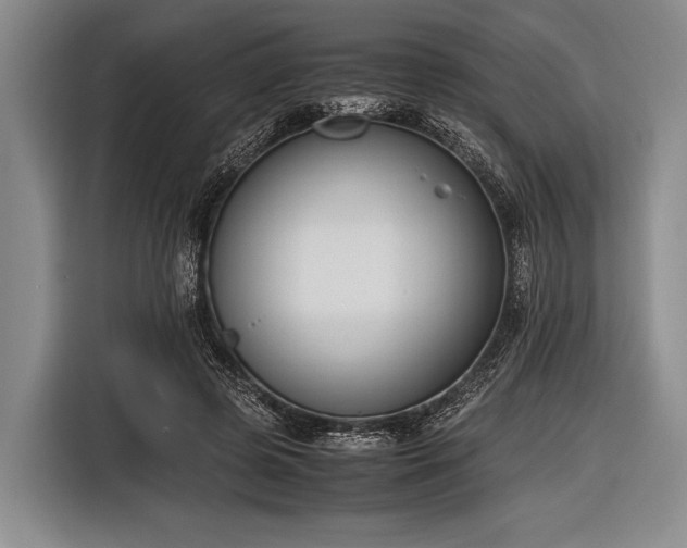 X0000116620545200912181307