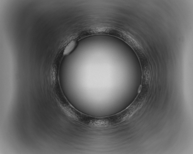 X0000116620546200912181307