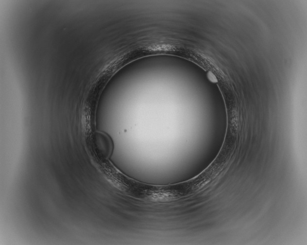 X0000116620547200912181307