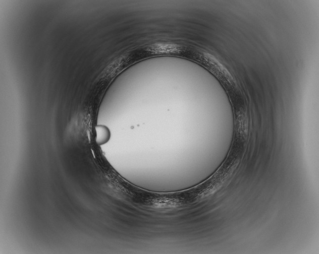 X0000116620549200912181307