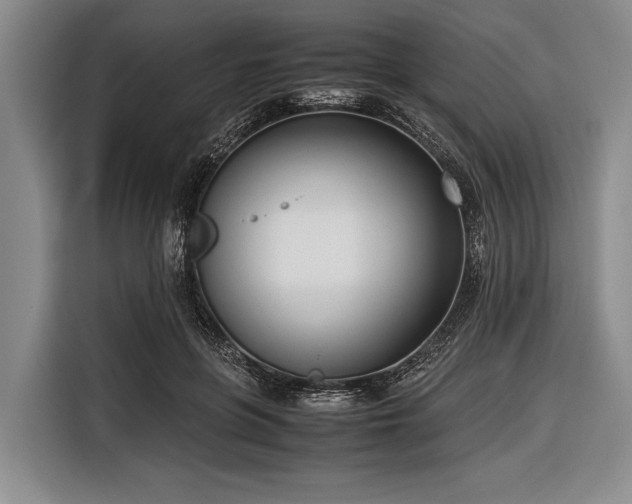 X0000116620551200912181307