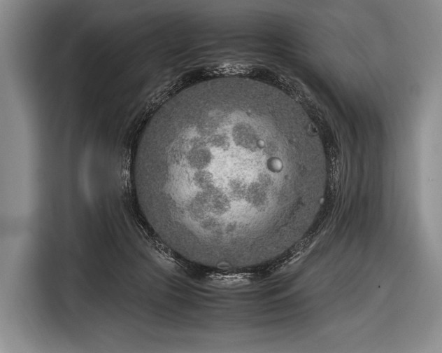 X0000116620553200912181307