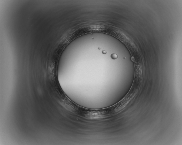 X0000116620557200912181307