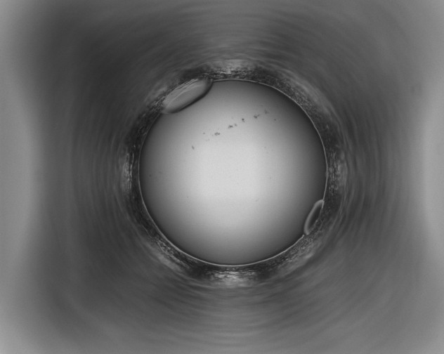 X0000116620558200912181307