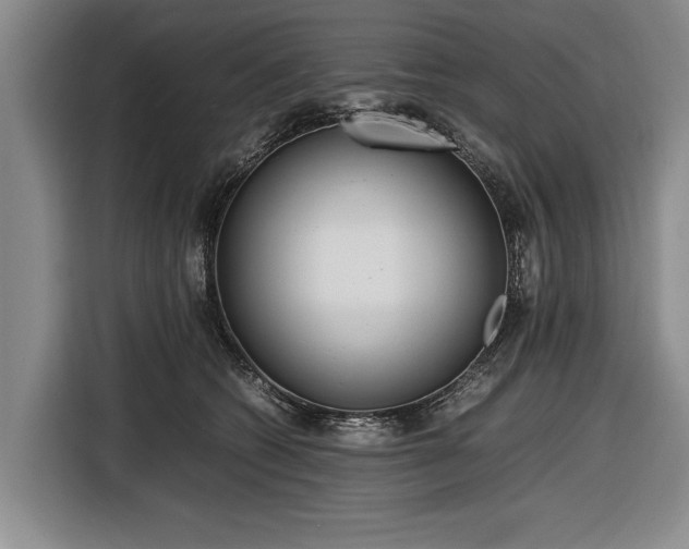 X0000116620562200912181307