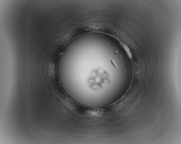 X0000116620563200912181307
