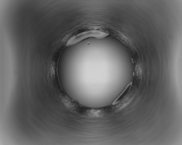 X0000116620570200912181307