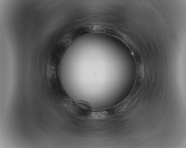 X0000116620571200912181307