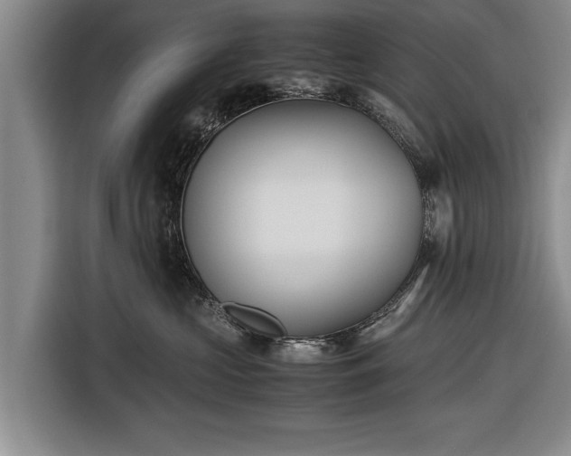 X0000116620573200912181307