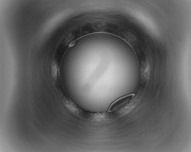 X0000116620574200912181307