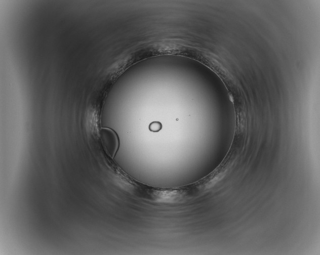 X0000116620575200912181307