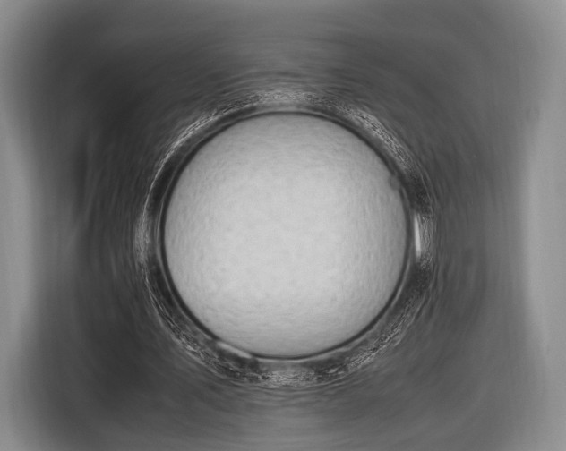 X0000116620579200912181307