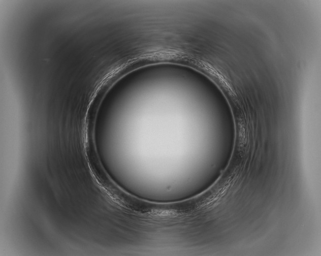 X0000116620582200912181307