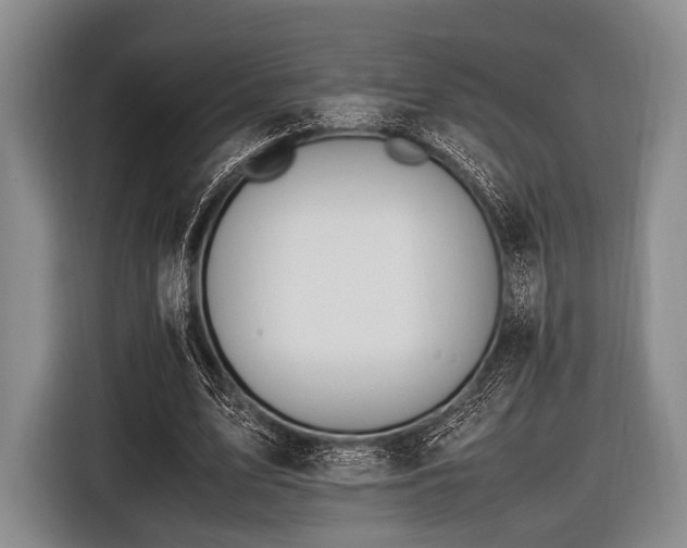 X0000116620583200912181306