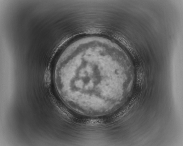 X0000116620584200912181306