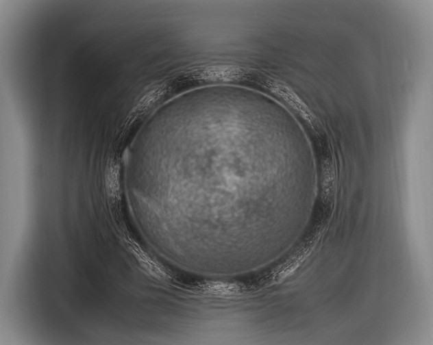 X0000116620585200912181306