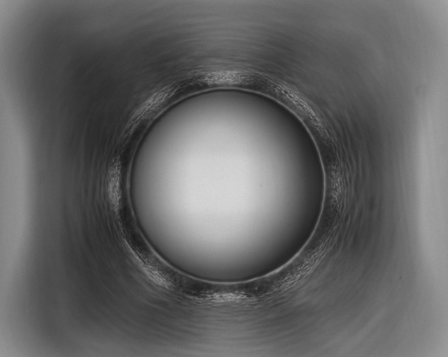 X0000116620586200912181306