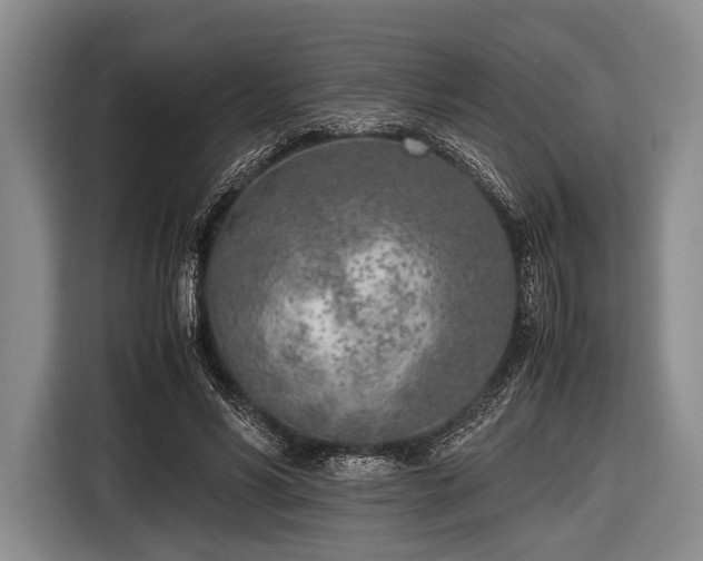 X0000116620590200912181306