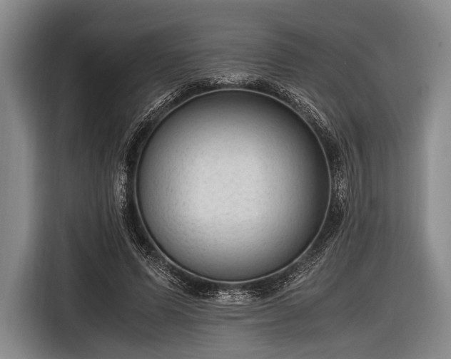 X0000116620591200912181306