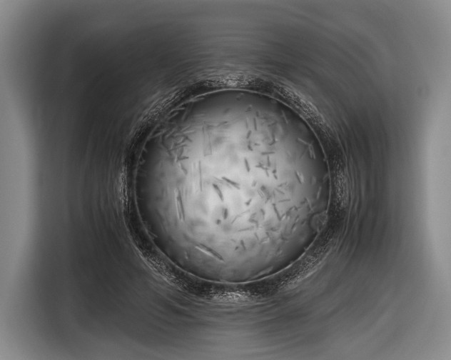 X0000116620594200912181306