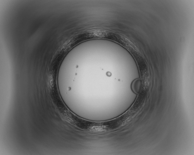 X0000116620595200912181306