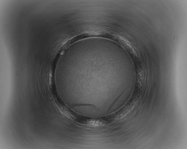 X0000116620596200912181306