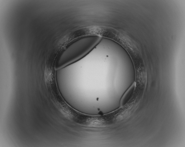 X0000116620597200912181306