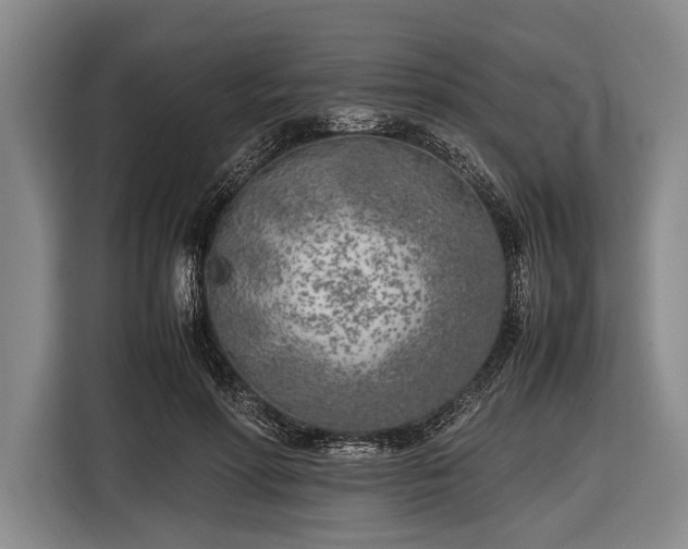 X0000116620598200912181306