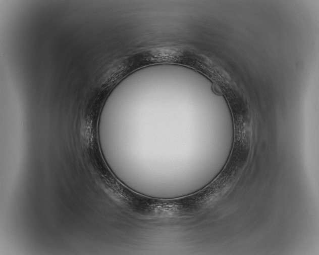 X0000116620599200912181306