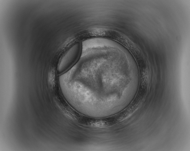 X0000116620600200912181306