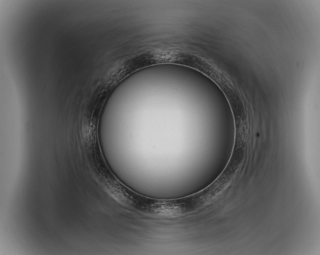 X0000116620601200912181306