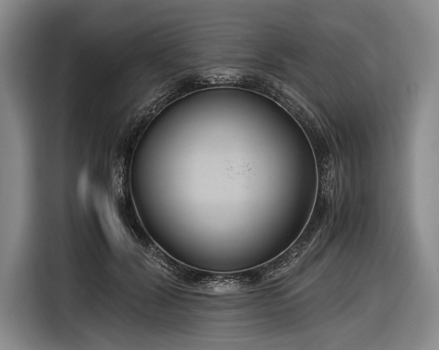 X0000116620604200912181306