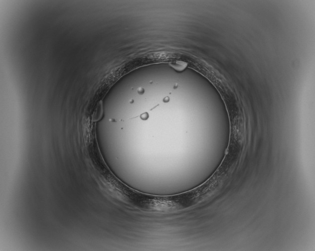 X0000116620605200912181306