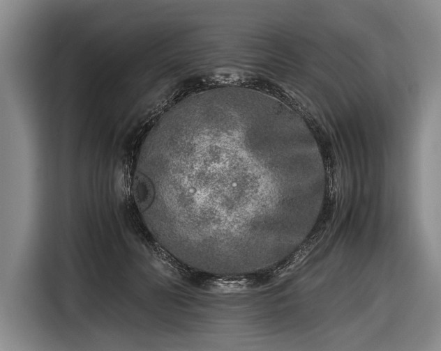 X0000116620606200912181306