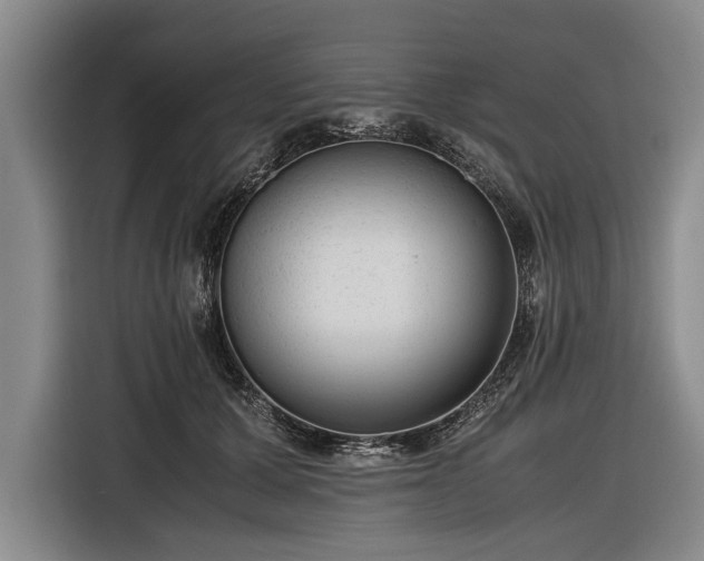 X0000116620607200912181306