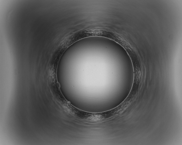 X0000116620609200912181306