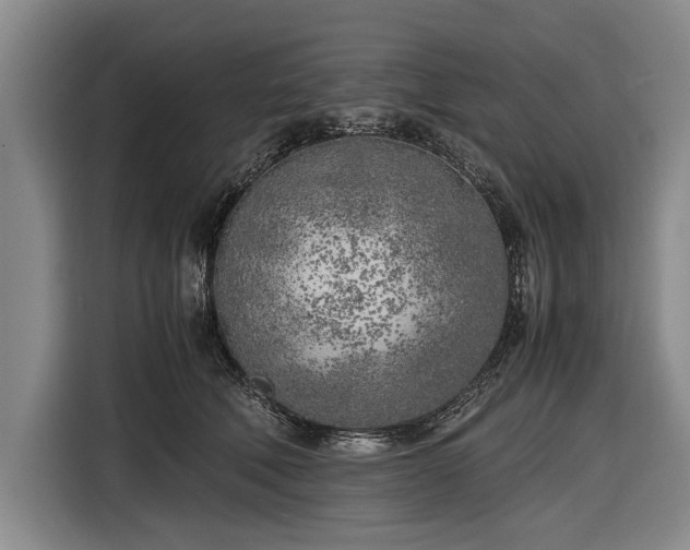 X0000116620610200912181306